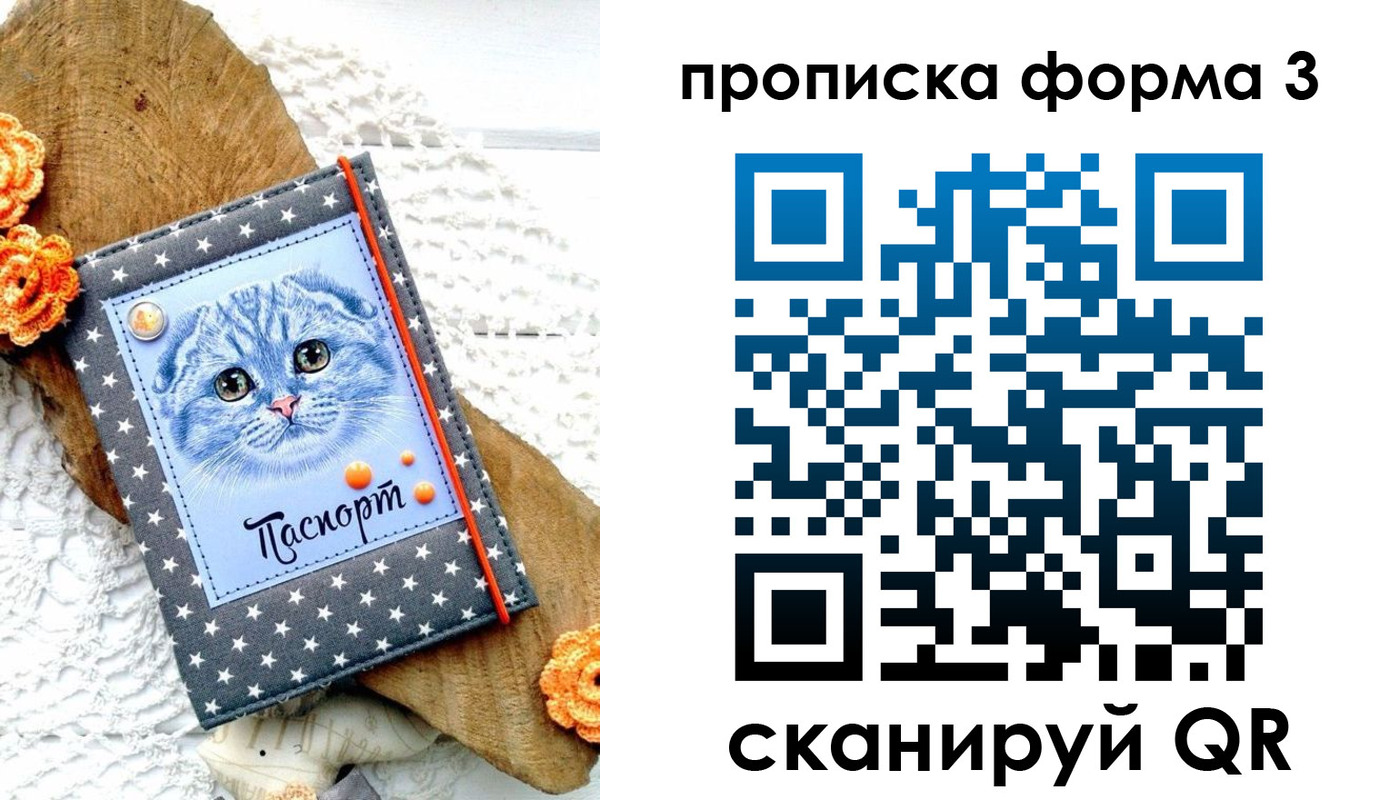 прописка поиск в Николаевске-на-Амуре